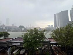 Boat Quay Conservation Area (D1), Shop House #554263691